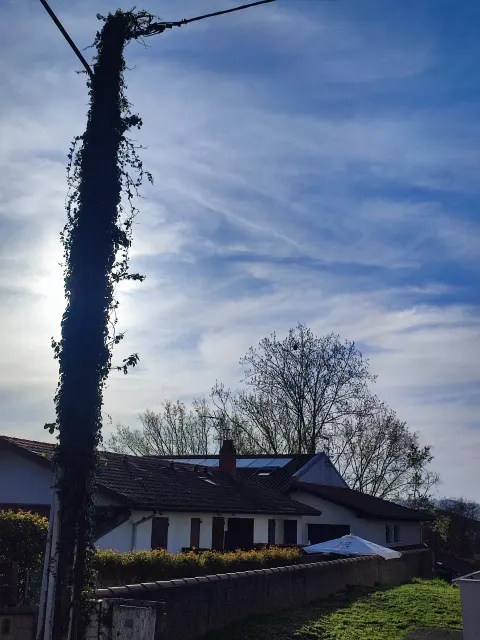 Signalement à Hendaye