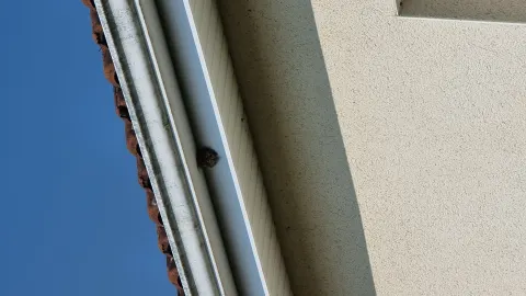 Signalement à Migné-Auxances