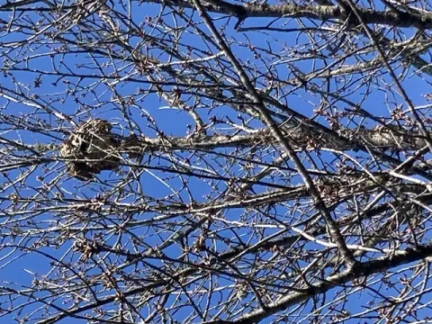 Signalement à La Roche-Posay