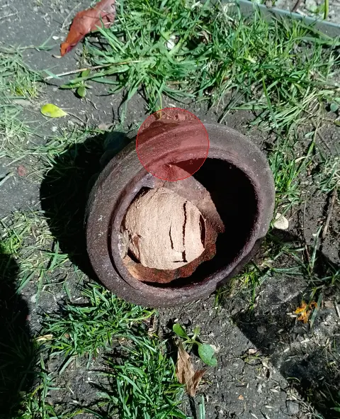 Signalement à Tours