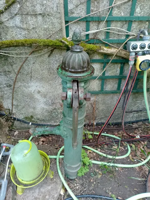 Photo du signalement #1020