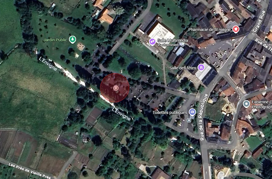 Nid de frelon asiatique à Lencloître (86)