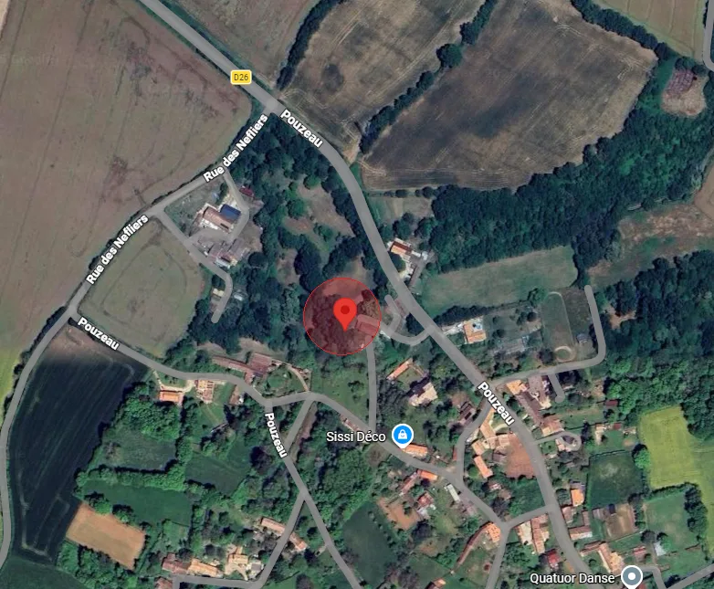 Nid de frelon asiatique à Saint-Sauvant (86)