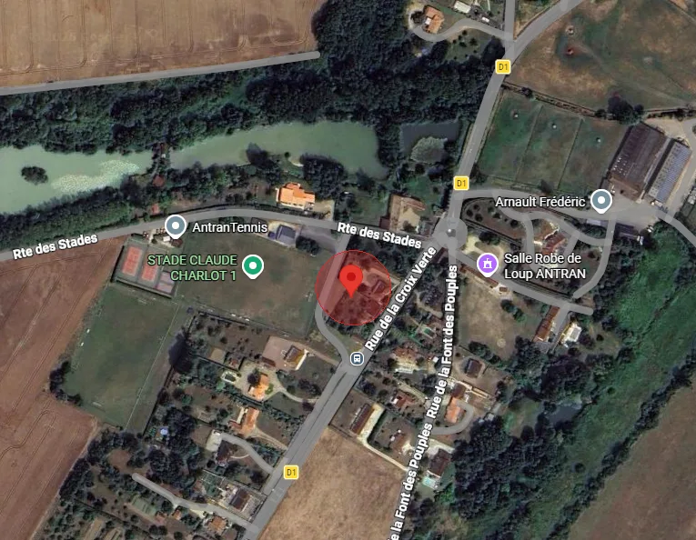 Nid de frelon asiatique à Antran (86)