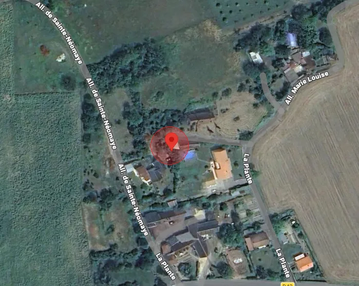 Nid de frelon asiatique à Thuré (86)