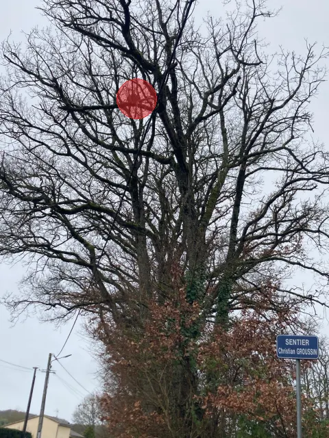 Signalement à Abilly