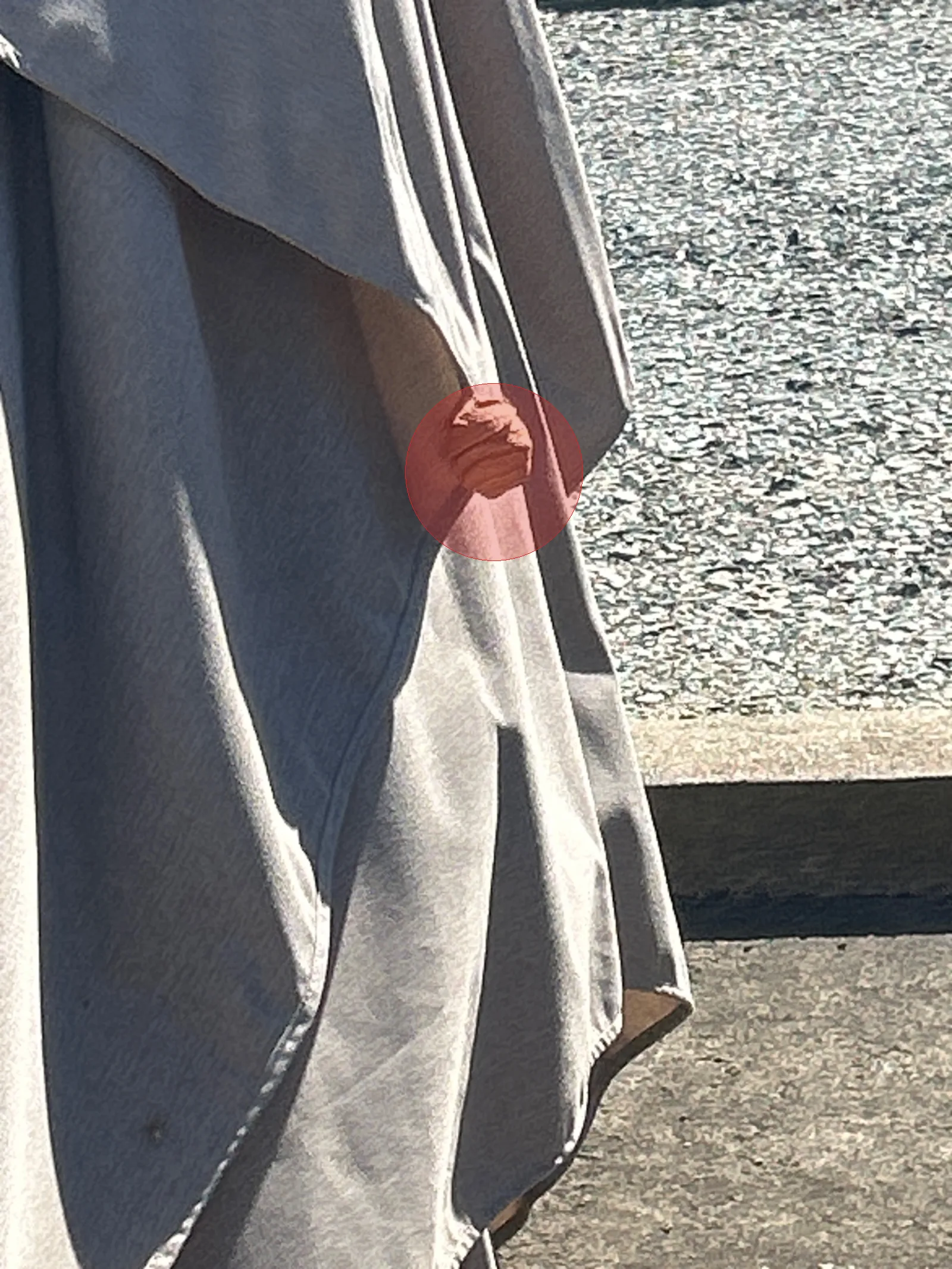 Nid de frelon asiatique à Ahuillé (53)