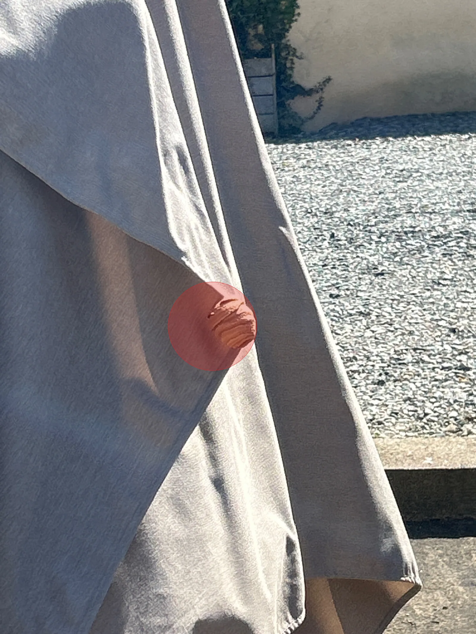 Nid de frelon asiatique à Ahuillé (53)