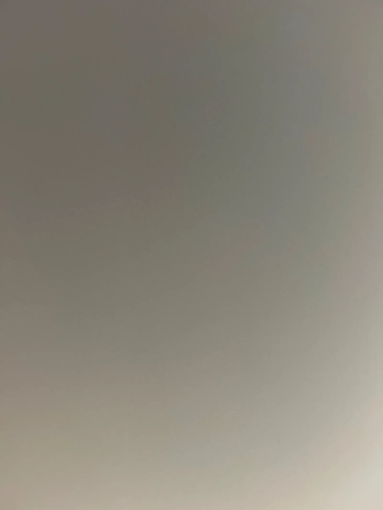 Nid de frelon asiatique à Les Trois-Pierres (76)