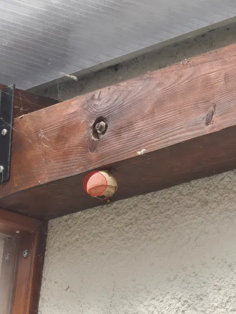 Signalement à Ris-Orangis