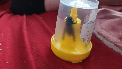 Signalement à Douai