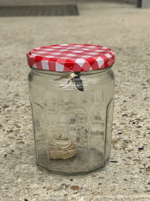 Photo du signalement #1069