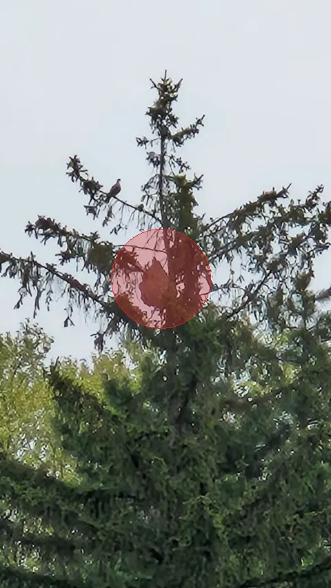 Signalement à Vaulx-en-Velin