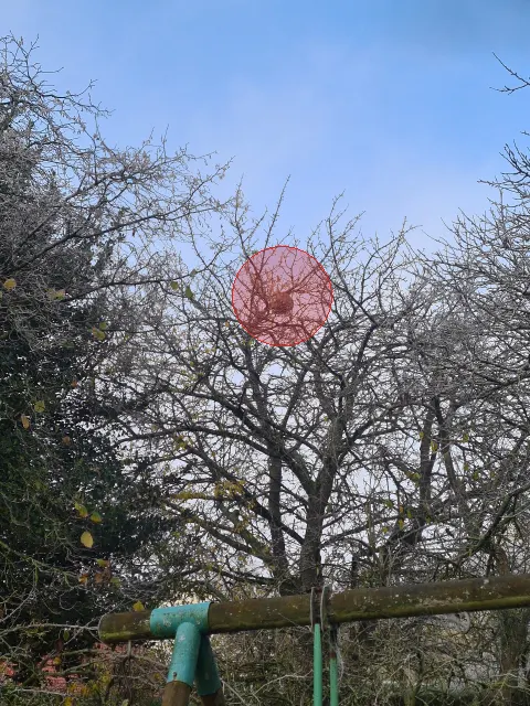 Signalement à Bapaume