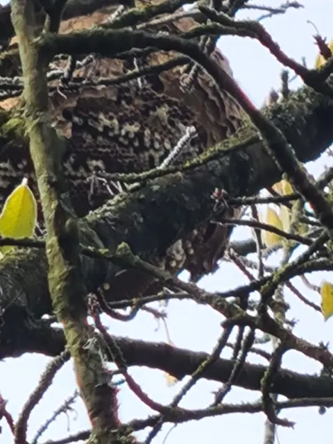 Photo du signalement #1073