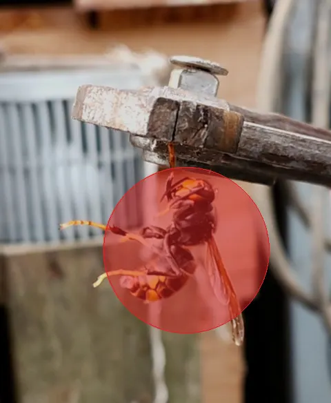 Signalement à Tincques