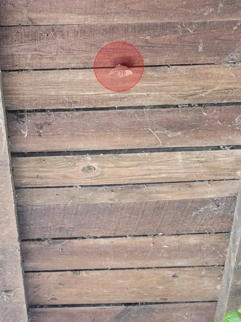 Signalement à Ambarès-et-Lagrave