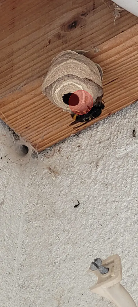 Signalement à Chaingy