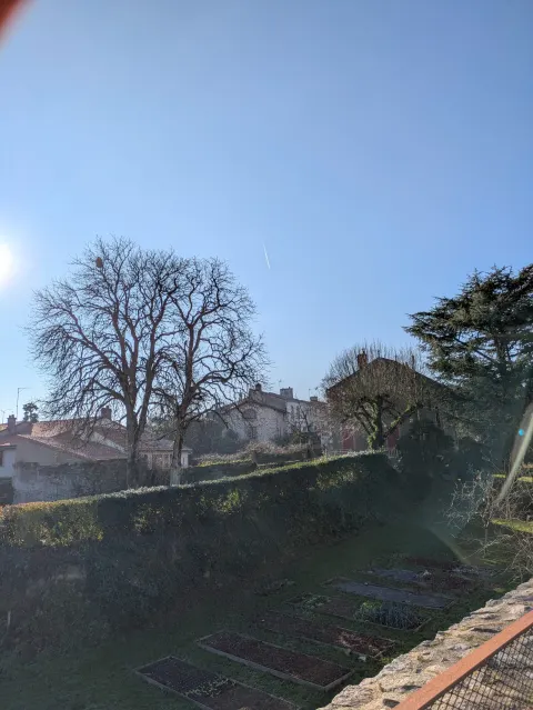 Photo du signalement #1082