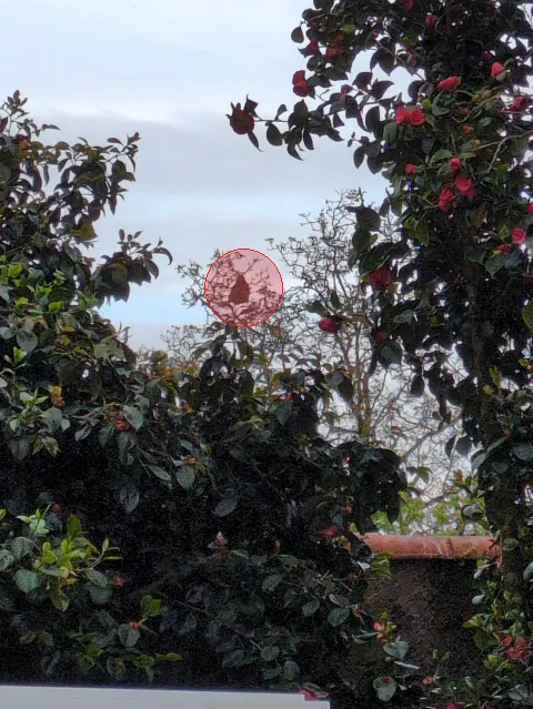 Signalement à Clisson