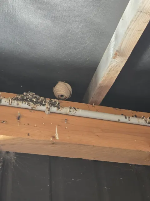 Signalement à Plouër-sur-Rance