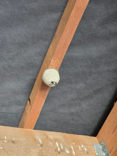 Signalement à Dourdan