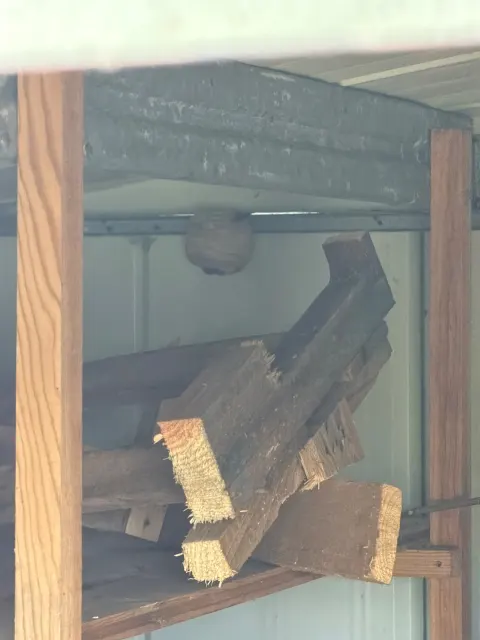 Signalement à Biarritz