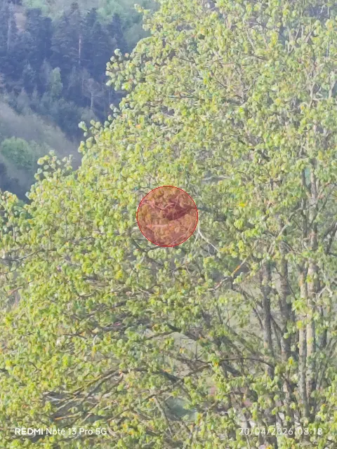 Signalement à Bourg-Argental