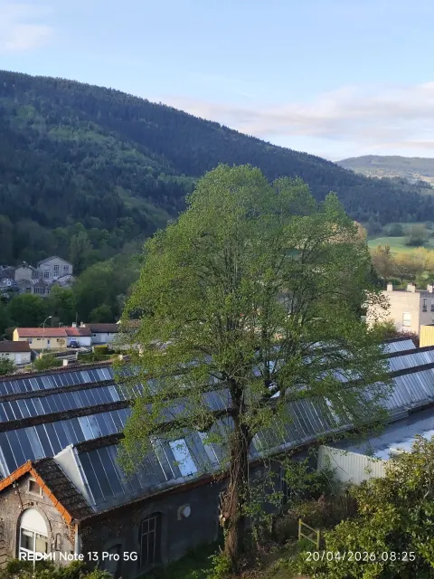 Signalement à Bourg-Argental