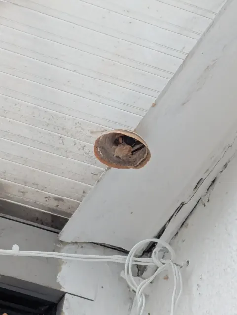 Photo du signalement #1104