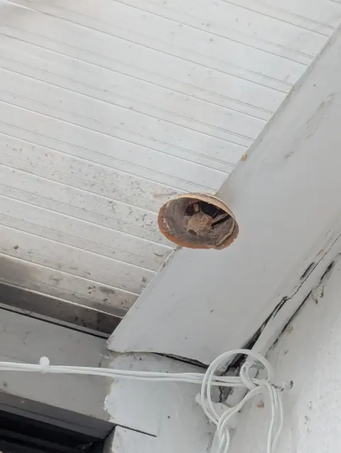 Photo du signalement #1104