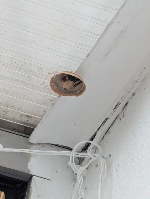 Photo du signalement #1104