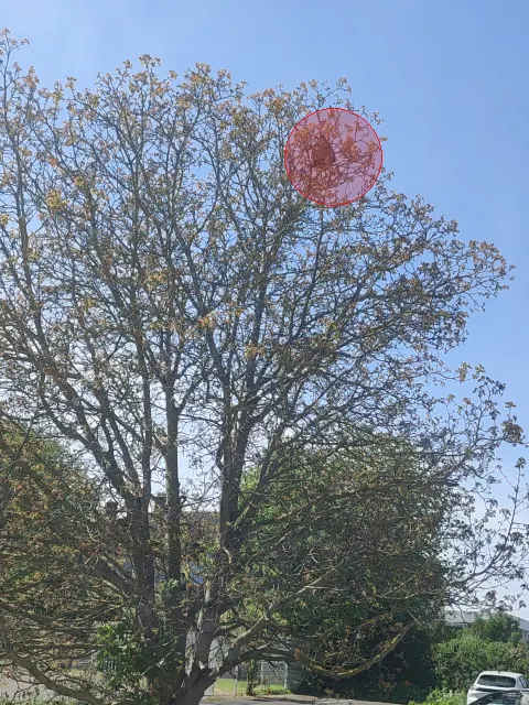 Signalement à Beauvais