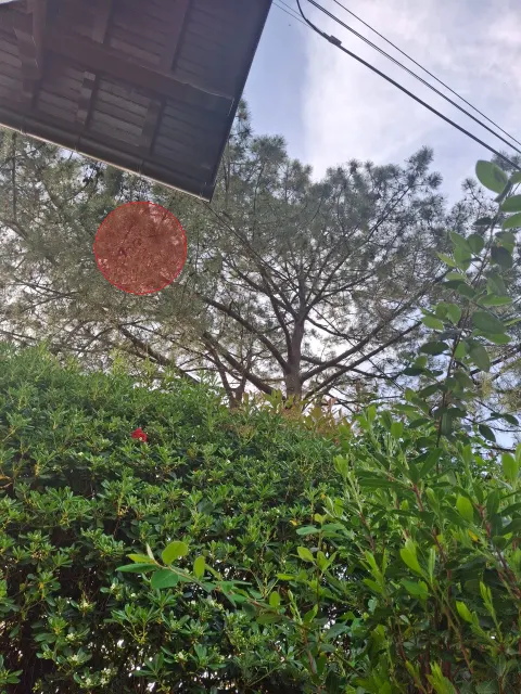 Signalement à Biarritz
