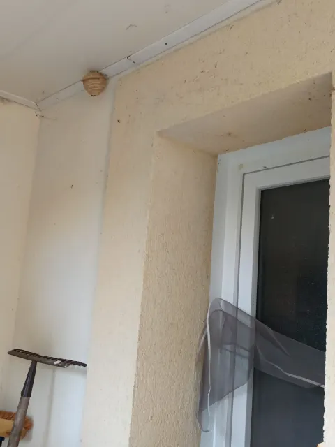 Photo du signalement #1108