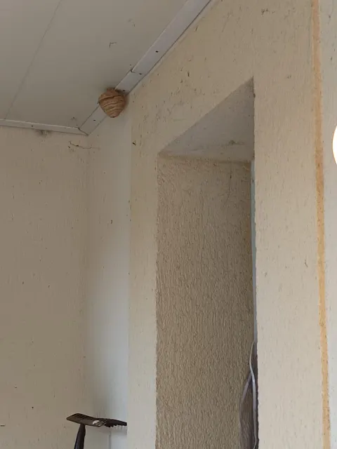 Signalement à Bruges