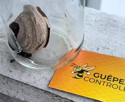 Signalement à Haguenau