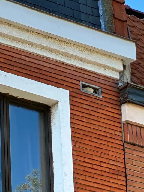 Photo du signalement #1113