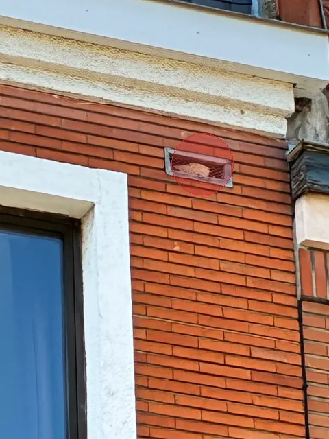 Signalement à Lille