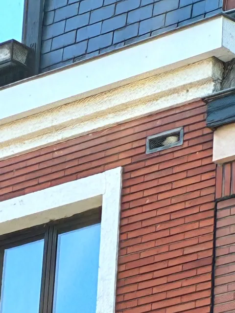 Photo du signalement #1113