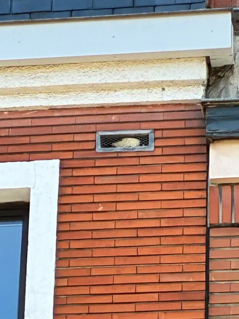 Photo du signalement #1113