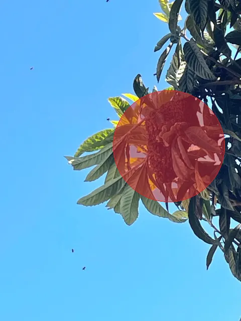 Signalement à Bonneuil-sur-Marne