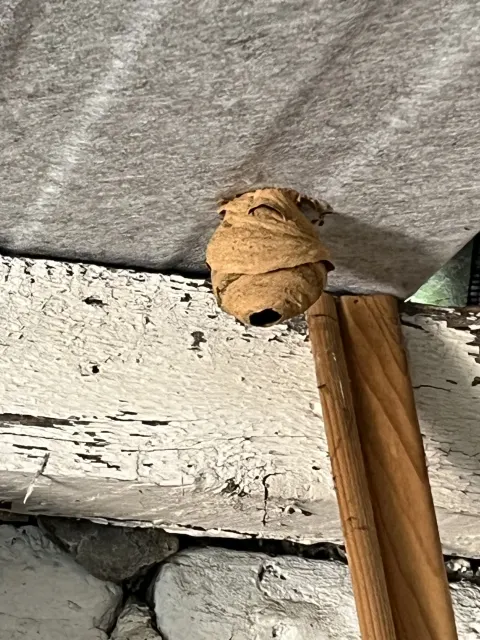 Signalement à Lille