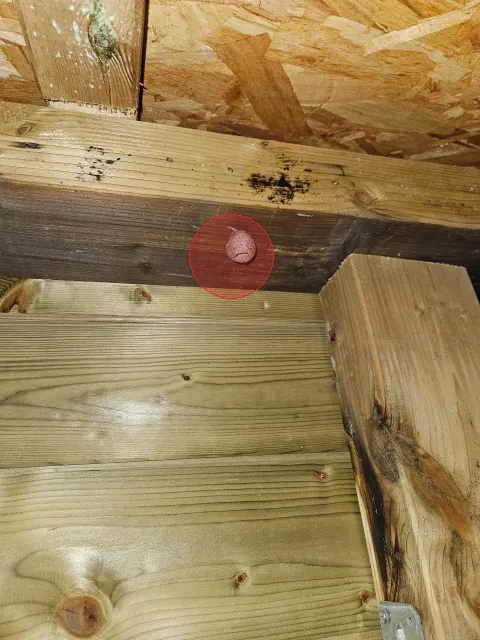 Signalement à Dambach-la-Ville