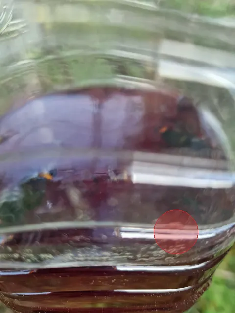 Photo du signalement #1128