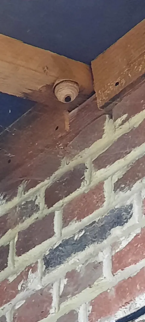 Signalement à Étreillers