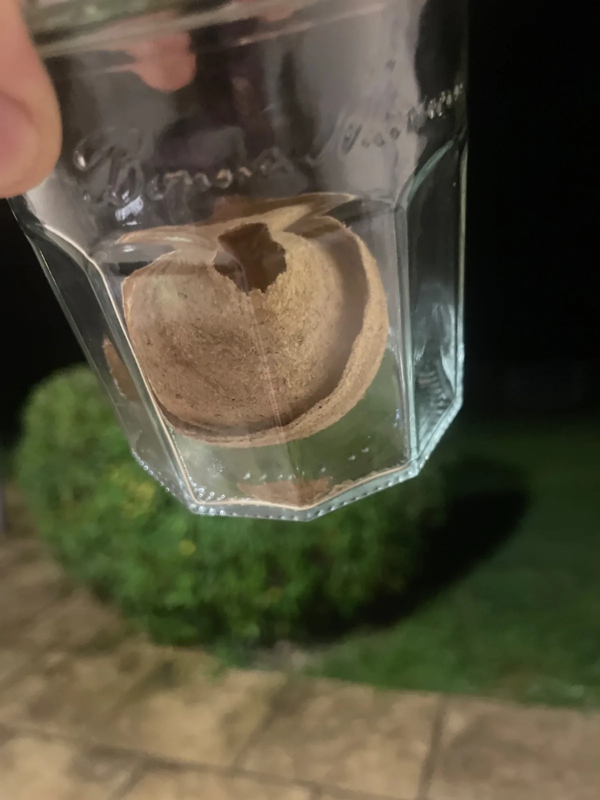 Nid / nuisance à Morville-le-Héron (76)