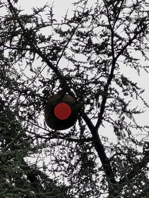 Signalement à Vaux-sur-Vienne