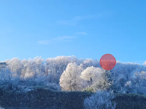Signalement à Vaux-sur-Vienne