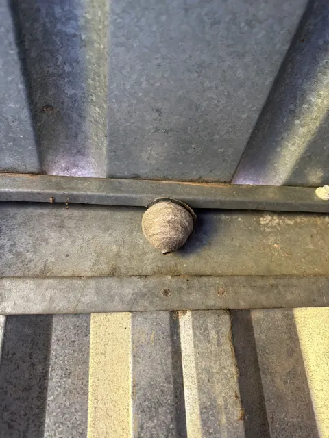 Signalement à Ambérieu-en-Bugey